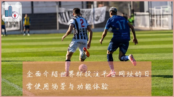 全面介绍世界杯投注平台网址的日常使用场景与功能体验