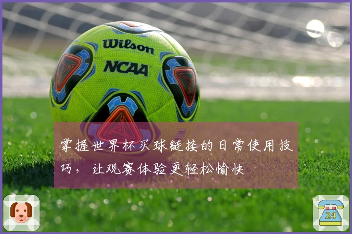 掌握世界杯买球链接的日常使用技巧，让观赛体验更轻松愉快