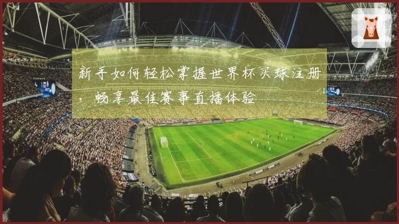 新手如何轻松掌握世界杯买球注册，畅享最佳赛事直播体验