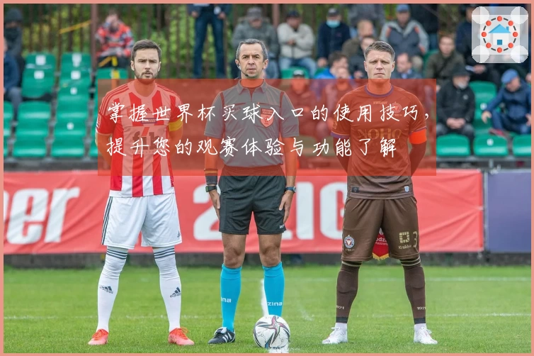 掌握世界杯买球入口的使用技巧，提升您的观赛体验与功能了解