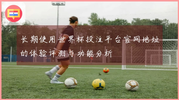 长期使用世界杯投注平台官网地址的体验评测与功能分析