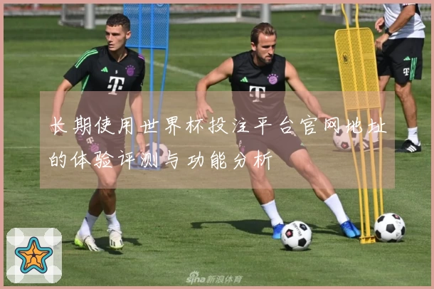 长期使用世界杯投注平台官网地址的体验评测与功能分析
