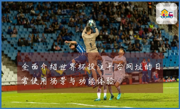 全面介绍世界杯投注平台网址的日常使用场景与功能体验